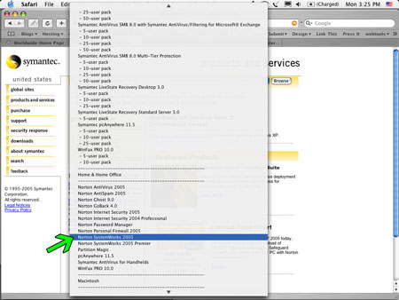 Choosing System Works